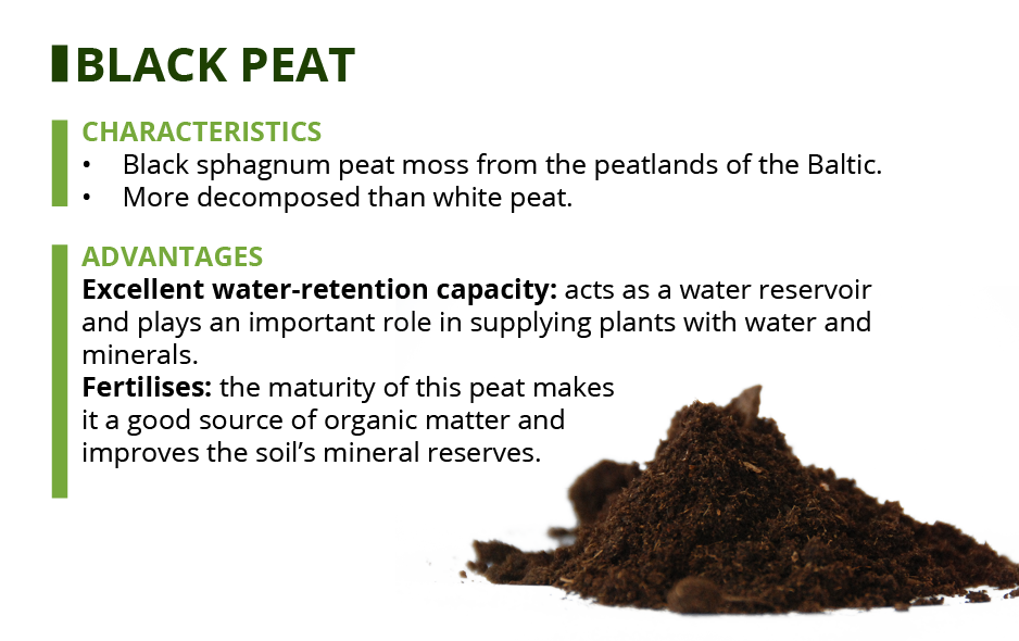 black peat